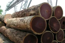 Rose-Wood-Logs.webp