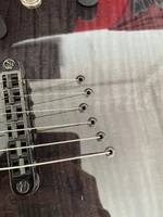 image.webp image.webp