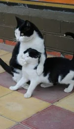 IMG-20250812-WA0008.webp