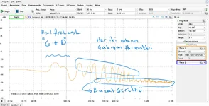 saf çift nota.webp