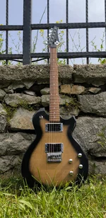 Crane Piranha 950.webp