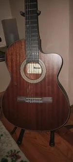 gitar 2.webp