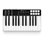 IP-IRIG-KEYSIO25-IN_1.webp