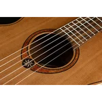 travel-nylon-red-cedar-acoustic-electric (3).webp