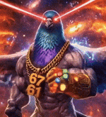 200.gif