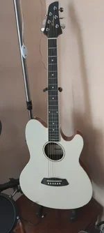 gitar 1.webp