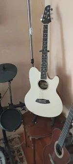 gitar 2.webp