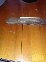 IMG_1346.webp IMG_1346.webp