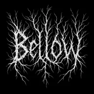 bellow.dsbm
