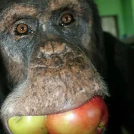 monkeumud