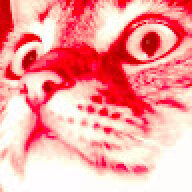 phoqque
