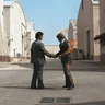 stewzie