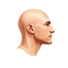corekid