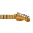 stratocaster5491
