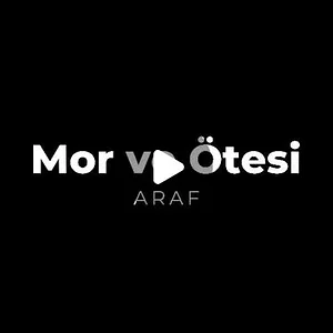 Yağız Doğan on Instagram: "#guitarcover #schecter #schecterguitars #neuraldsp #mesaboogie #morveötesi #solocover #guitarsolo #solocover"