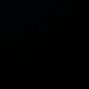 VID_20260131_143250_797.mp4