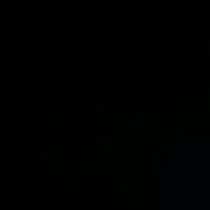 VID_20260131_143239_272.mp4