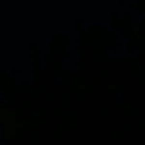 VID_20260131_143318_991.mp4