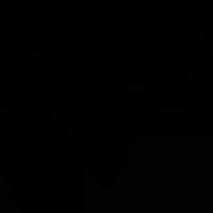 VID_20260131_150500_089.mp4